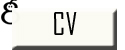 Curiculum Vitae / Lebenslauf